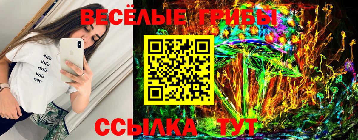 Южно-Сахалинск  Псилоцибиновые грибы мицелий  Вход с VPN 